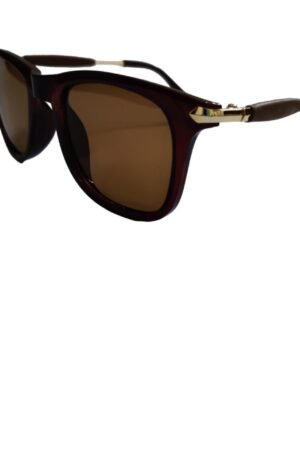 Premium Wayfarer Sunglasses