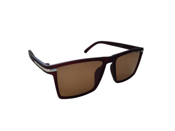 Brown Wayfarer Sunglass