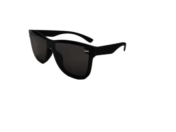 Black Wayfarer Sunglasses